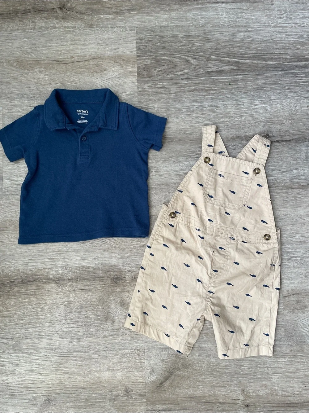 Carters carter’s whale